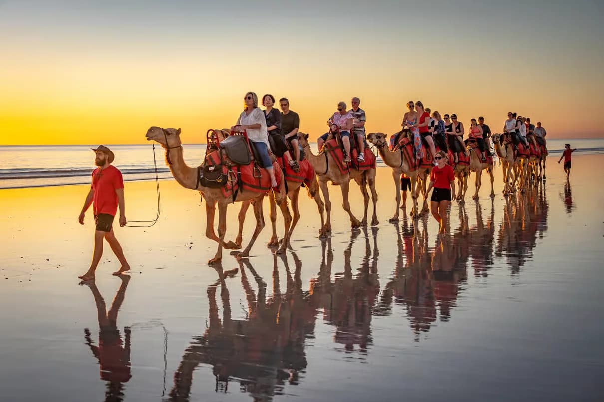 Caravane de chameaux sur la plage au coucher du soleil