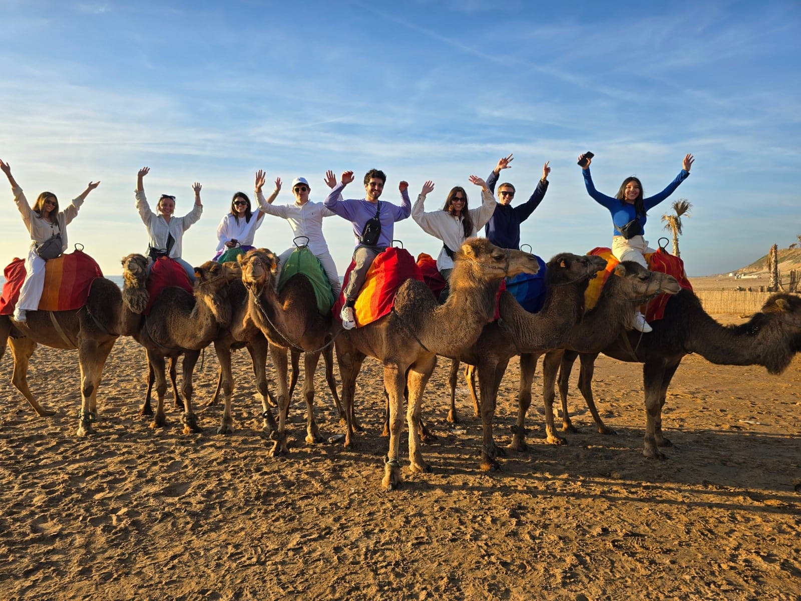 Groupe en balade à dos de chameau sur la plage